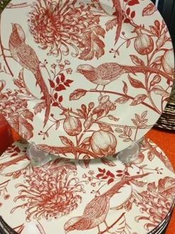 Assiettes anciennes plastiques