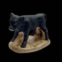 Bébé taureau de Camargue