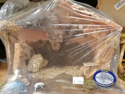 Crèche en bois lumineuse