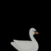 Cygne