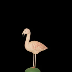 Flamand rose