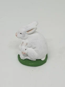 Lapin et laperaux blancs