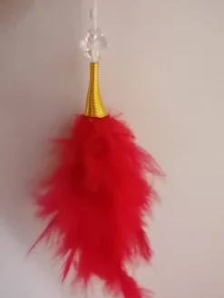 PROMO lot de 2 plumeaux rouges